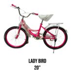 Strong Girls Lady Bird bike size 20"